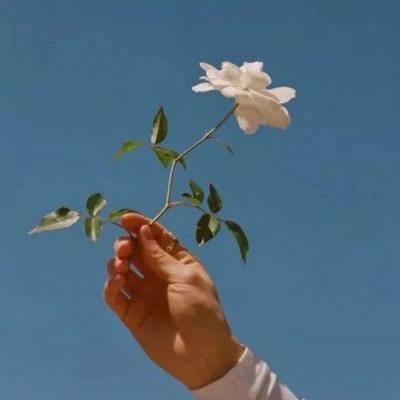 梦中的你免费完整版下载