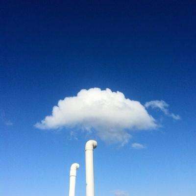 疯狂冒险岛游戏下载
